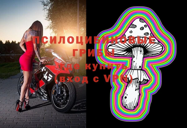 дмт Абдулино
