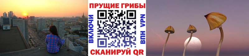 Галлюциногенные грибы MAGIC MUSHROOMS  Нахабино 
