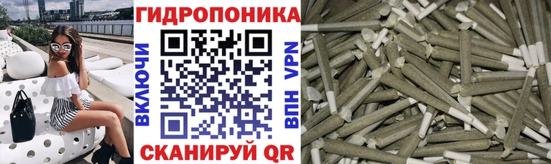 Шишки марихуана конопля  Нахабино 